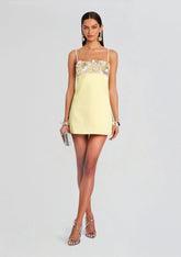 Lark Embroidered Dress